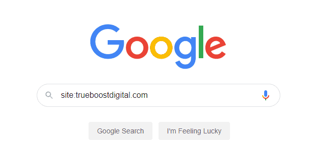 searching for website on google