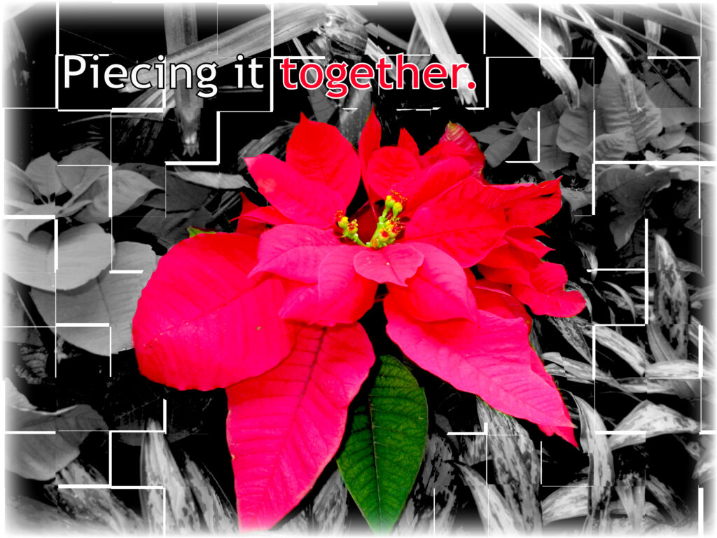 graphic design from true boost digital