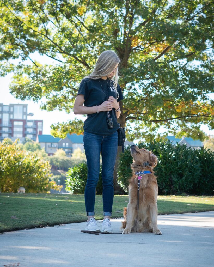 highland canine training dog and dog trainer